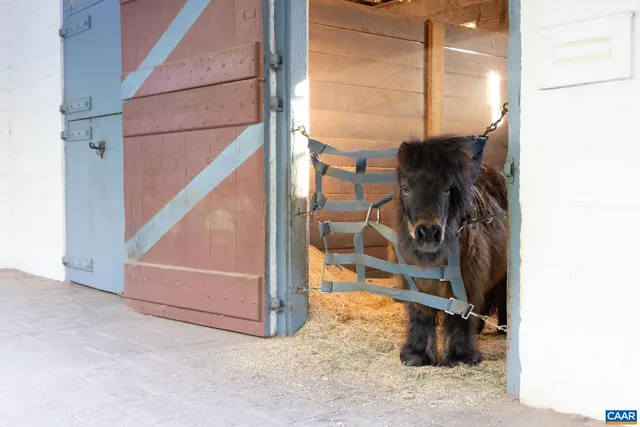 $7,175,000 | 2328 Liberty Corner Road, Esmont, VA 22937