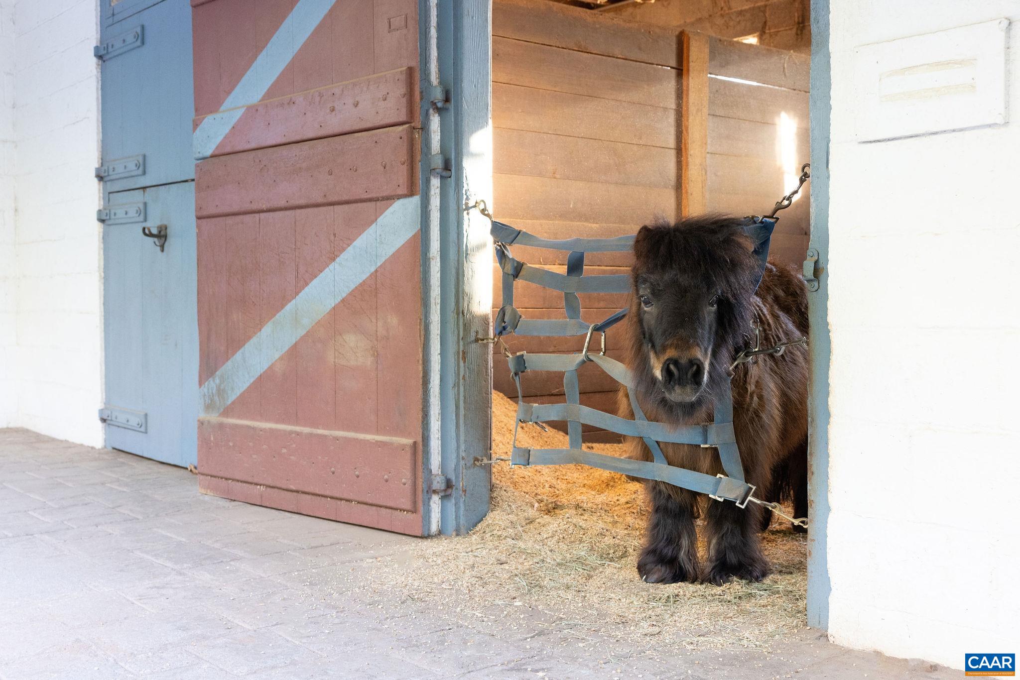 2328 Liberty Corner Road Esmont, VA 22937 - Photo 57 of 75