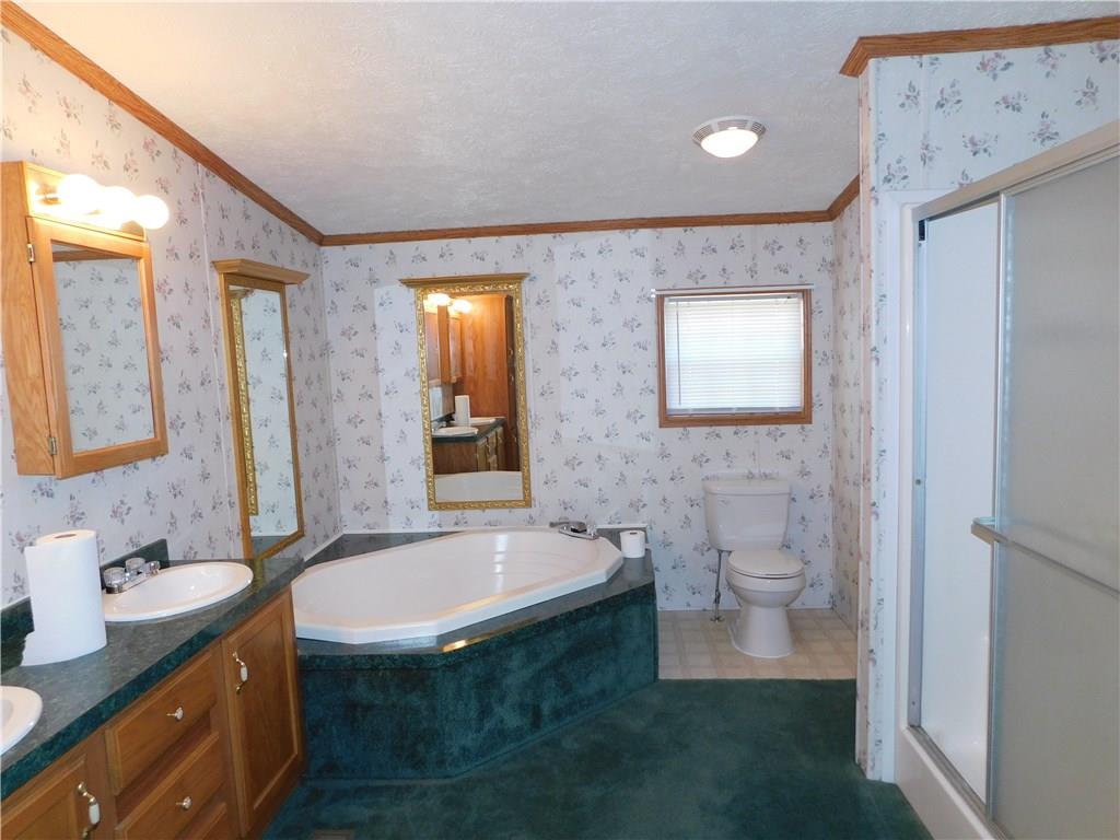 120 Freeman Road Irwin, PA 15642 - Photo 12 of 17 Master bath with a sunken tub.