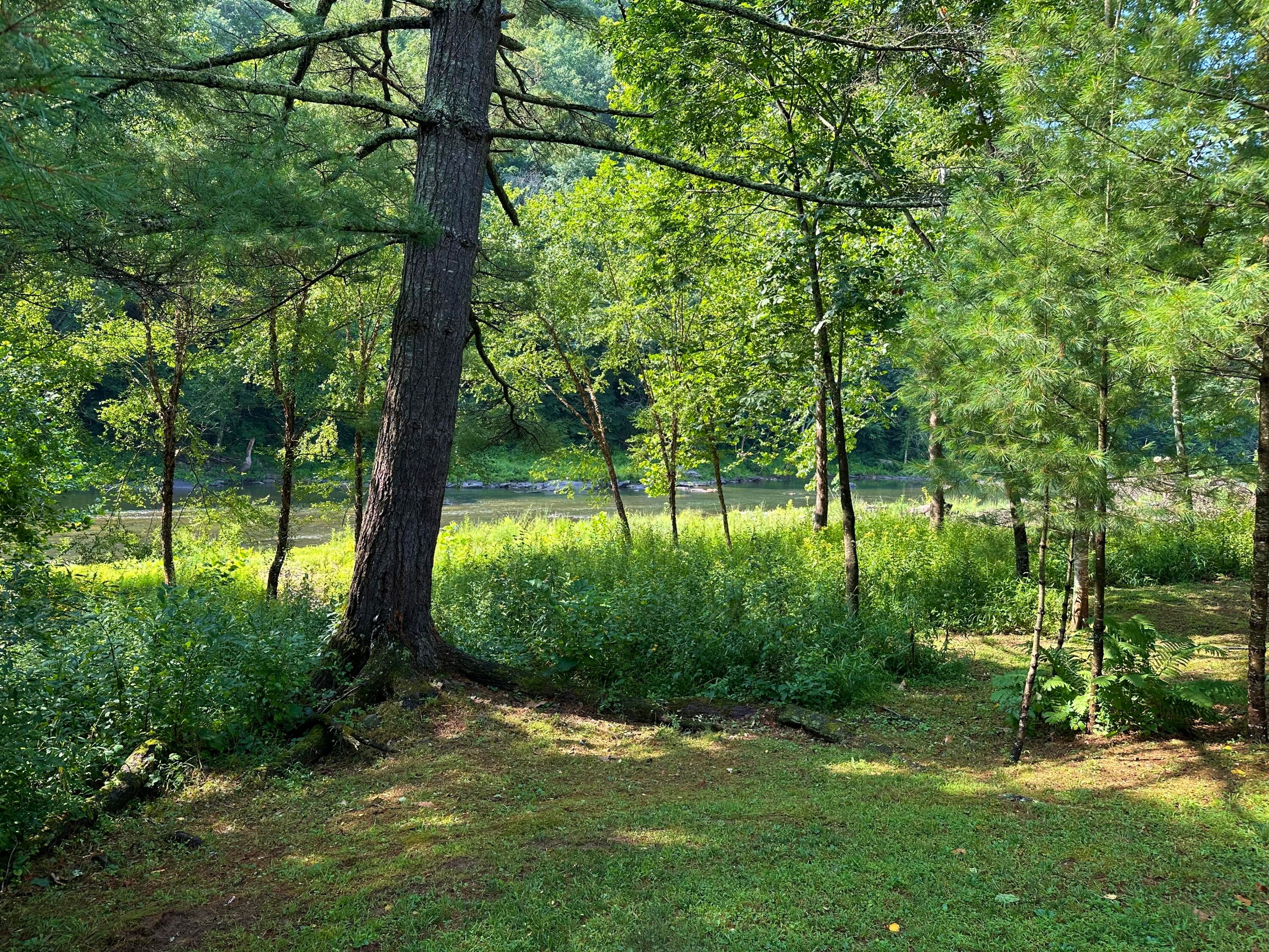 3981 Coleman Cliff Road Frankford, WV 24938 - Photo 15 of 66 3981 Coleman Cliff Rd