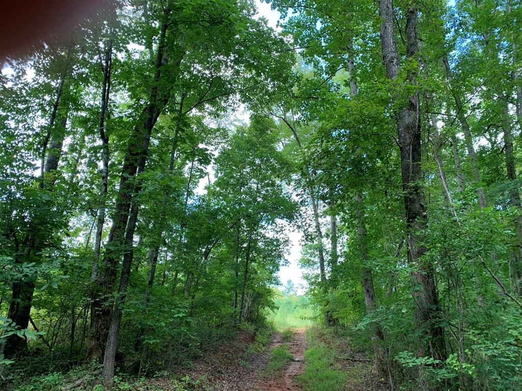 139.635-ac 139.635-ac Bethel Road Luthersville, GA 30251 - Photo 16 of 17