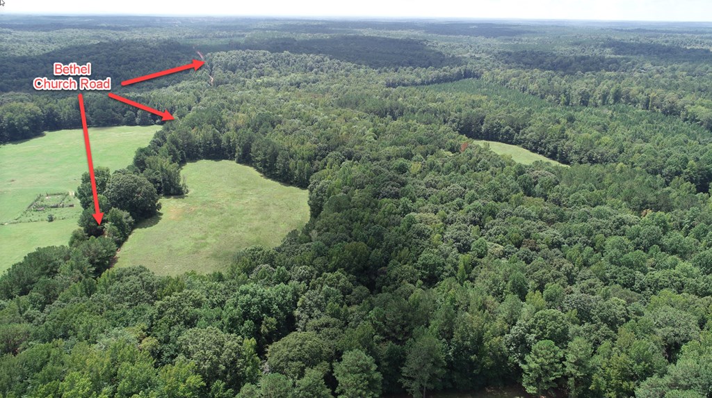139.635-ac 139.635-ac Bethel Road Luthersville, GA 30251 - Photo 4 of 17