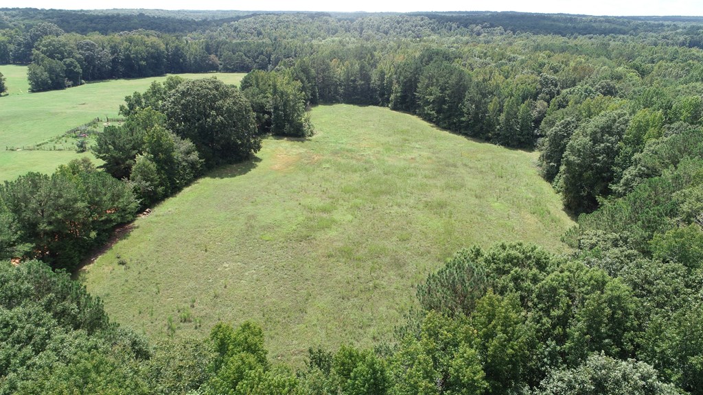 139.635-ac 139.635-ac Bethel Road Luthersville, GA 30251 - Photo 6 of 17
