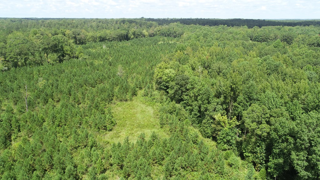 139.635-ac 139.635-ac Bethel Road Luthersville, GA 30251 - Photo 10 of 17