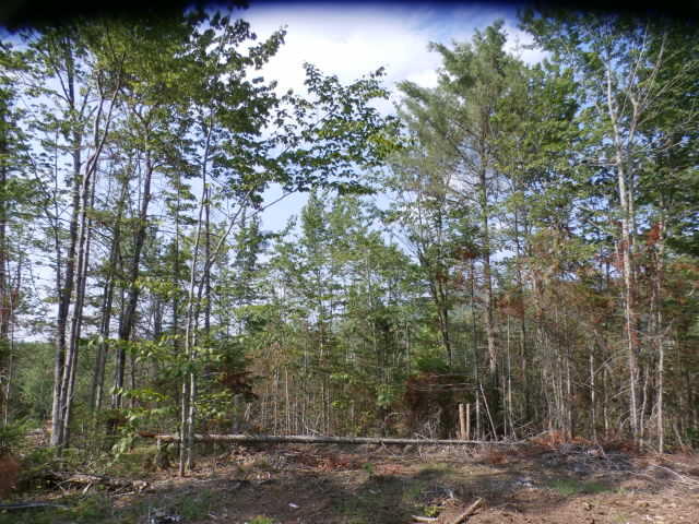 34.57 Concord Pond Road Bryant Pond, ME 04219 - Photo 7 of 46 P7168051