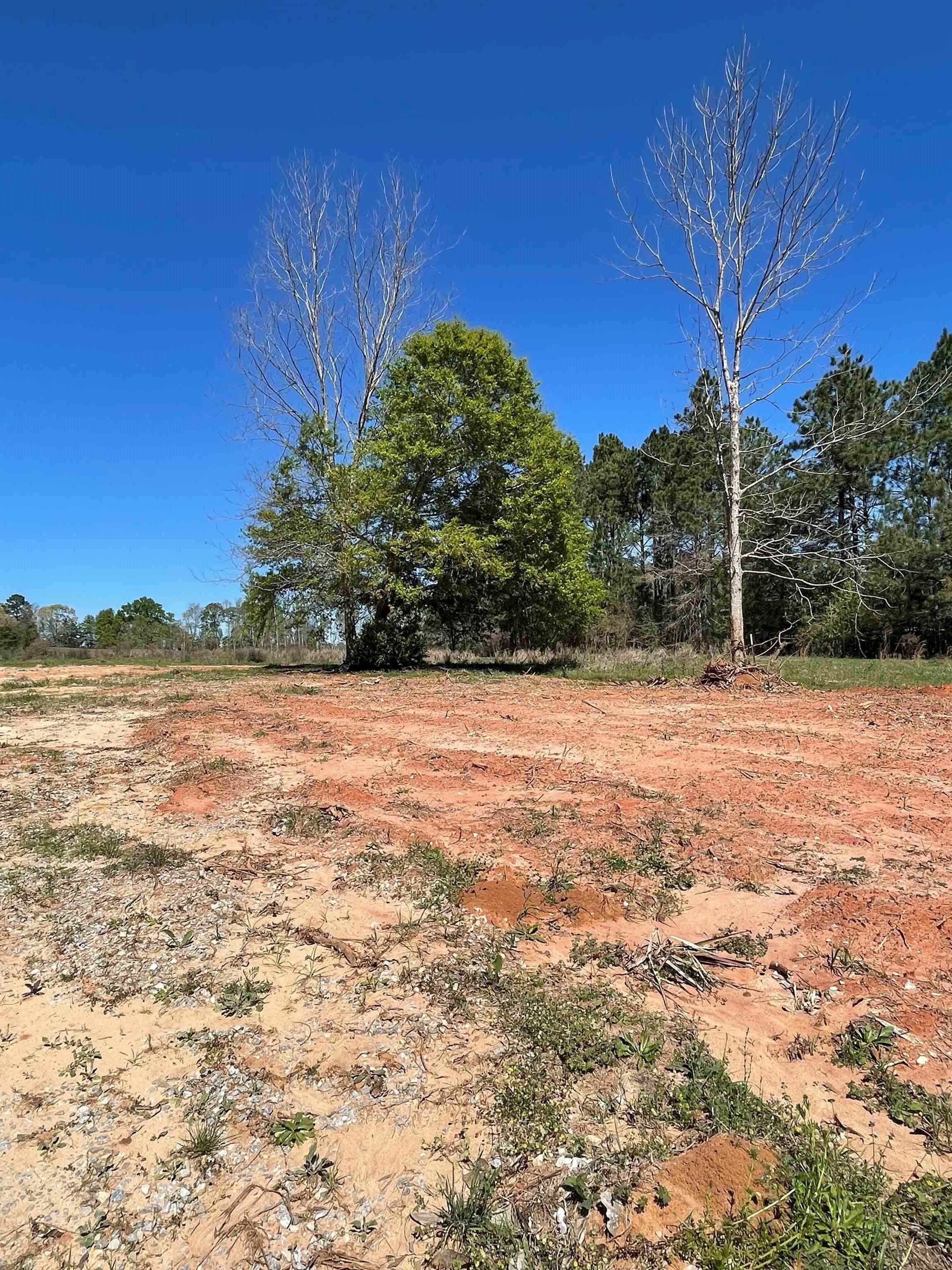 17111 Dunns Bridge Road Andalusia, AL 36421 - Photo 3 of 5 Gallery Image 3