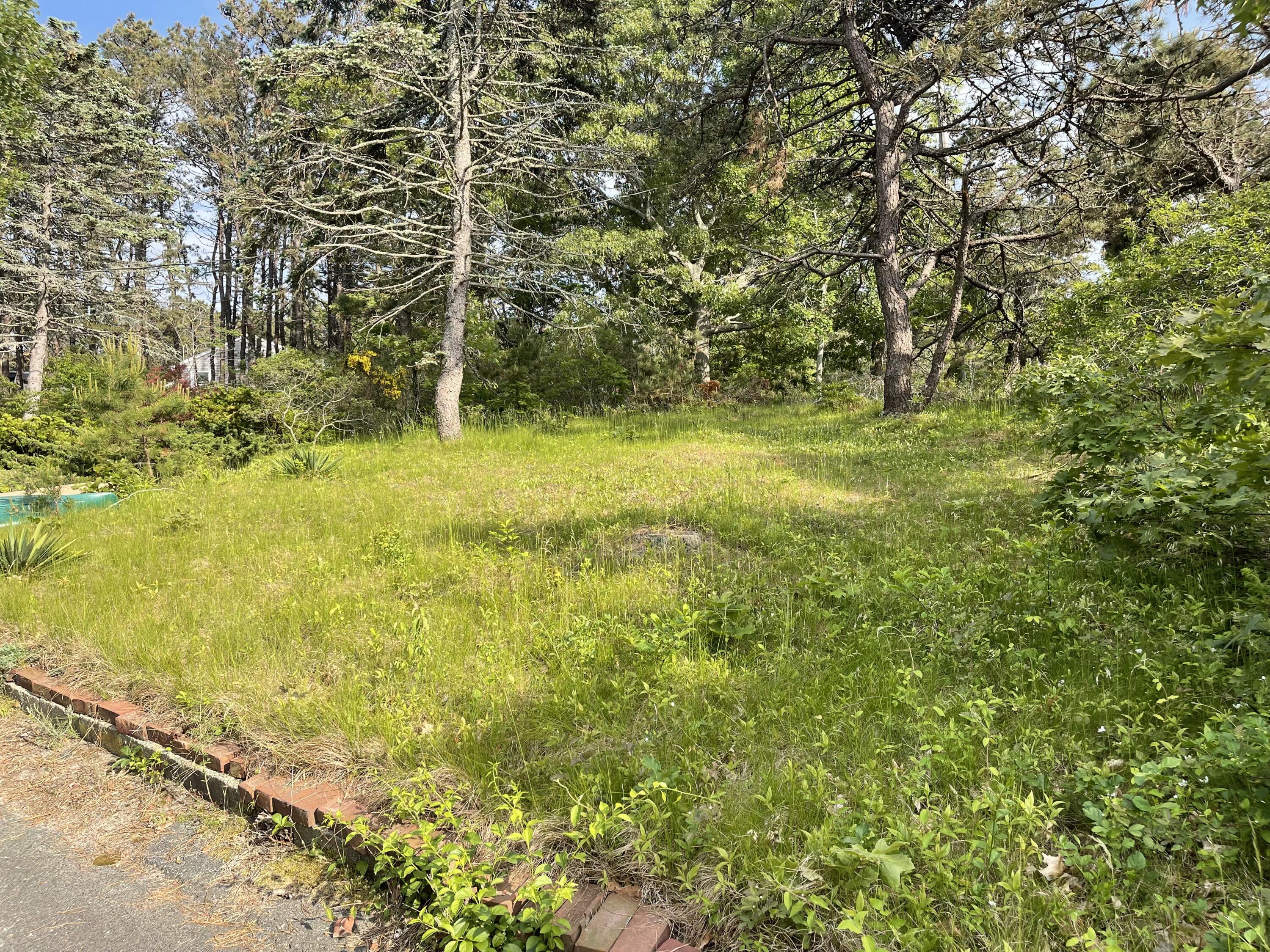 6 Pine Ridge End Truro, MA 02666 - Photo 71 of 75 IMG_9288