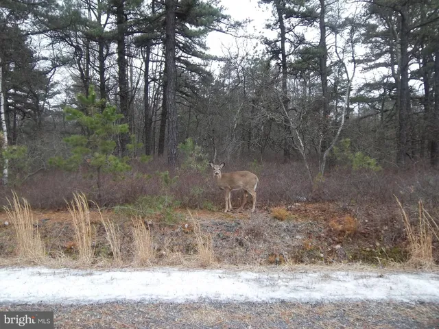 $14,995 | 42 Chippewa Drive, Unit LOT 163 WSS, Hazleton, PA 18202