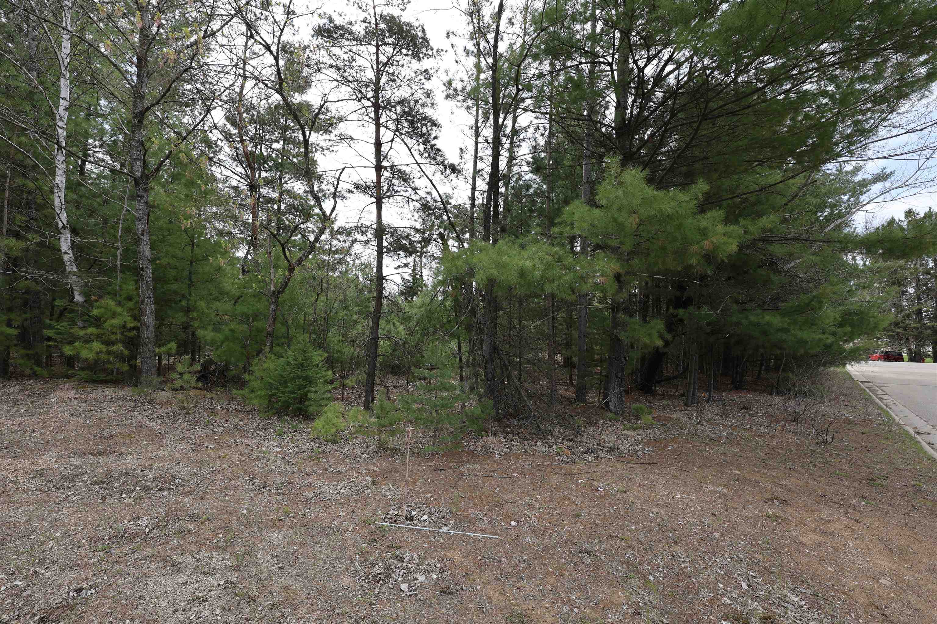 606 East Brook Street Suring, WI 54174 - Photo 4 of 11