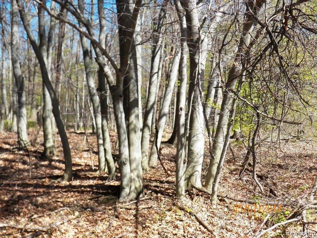 0 Connell Road Emmett, MI 48022 - Photo 1 of 16