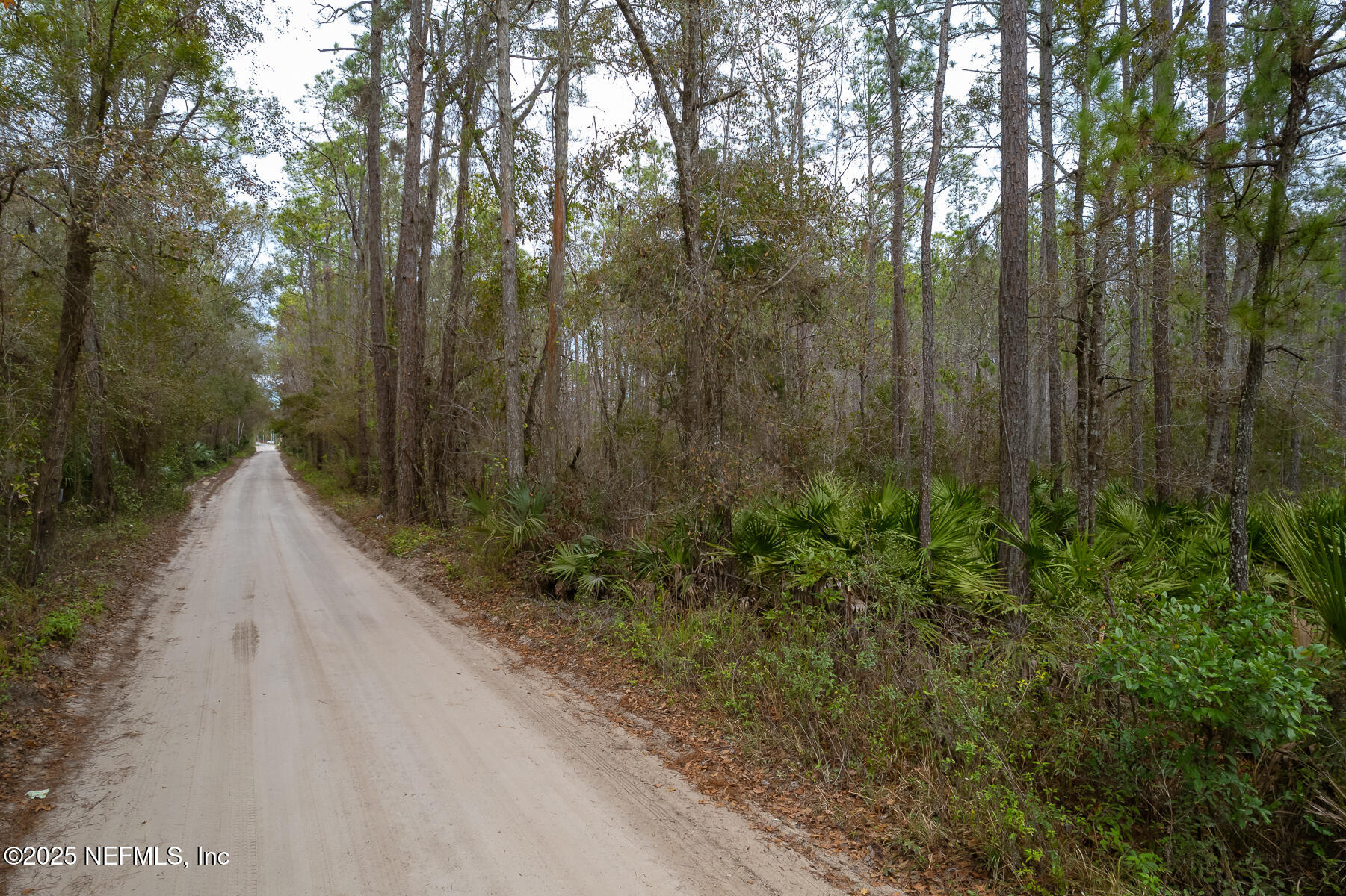 220 Chesser Road Palatka, FL 32177 - Photo 6 of 9 220Chesser