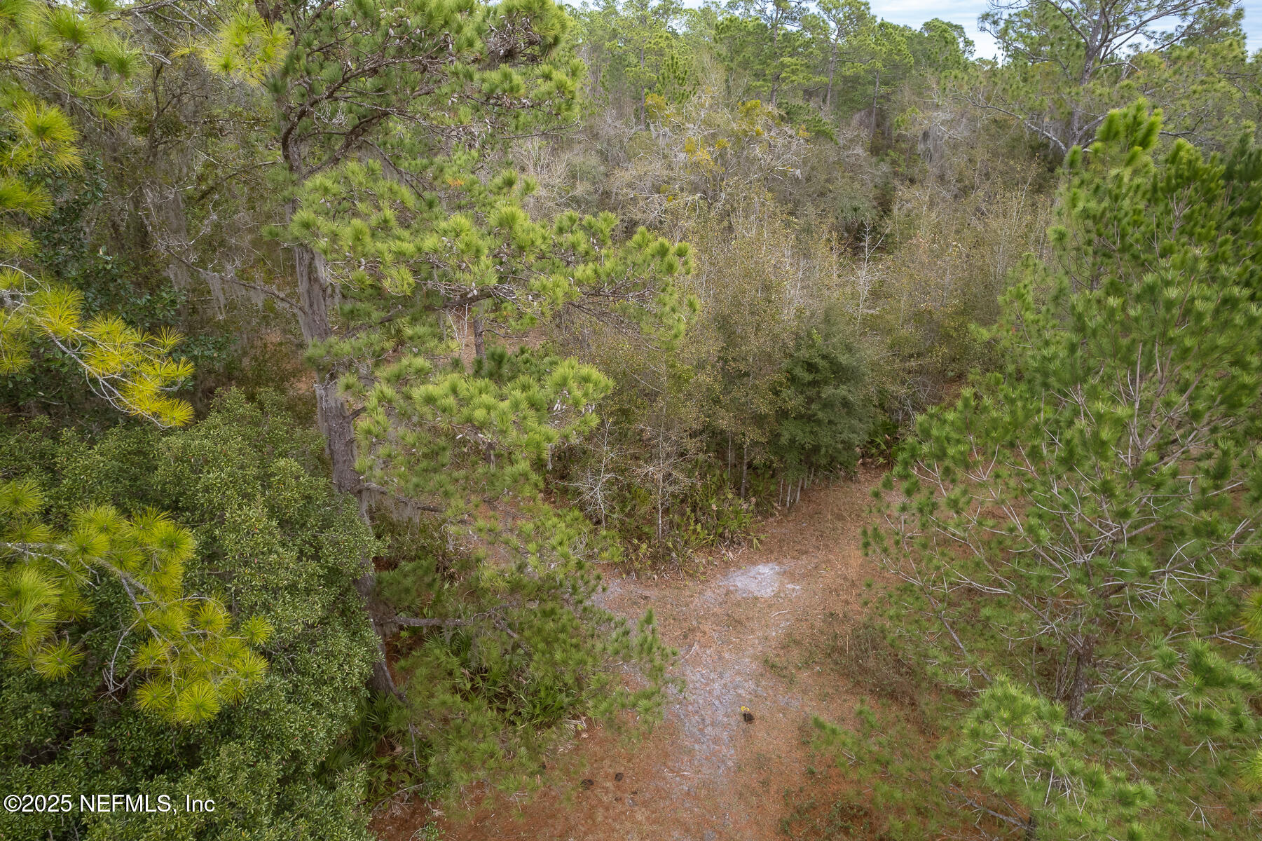 220 Chesser Road Palatka, FL 32177 - Photo 7 of 9 220Chesser