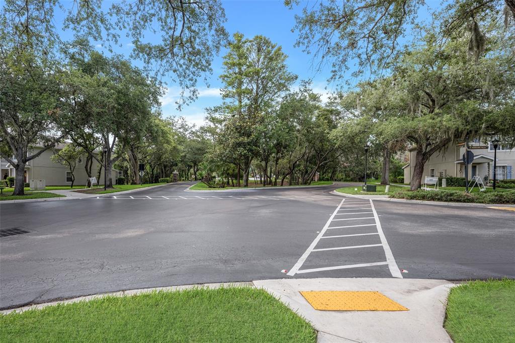 5842 Fishhawk Ridge Drive Lithia, FL 33547 - Photo 50 of 59