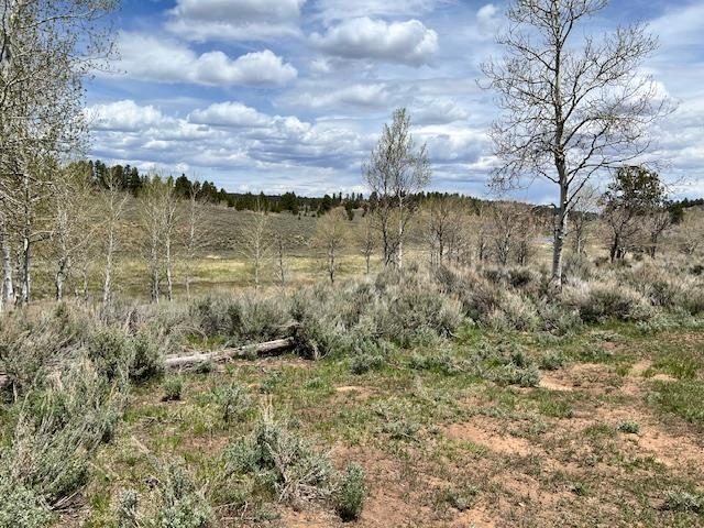 Tbd T S Road Whitewater, CO 81527 - Photo 1 of 11 Gallery Image 1
