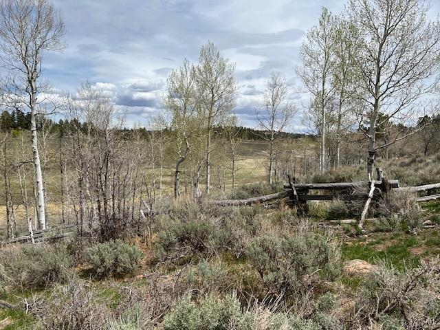 Tbd T S Road Whitewater, CO 81527 - Photo 3 of 11 Gallery Image 3