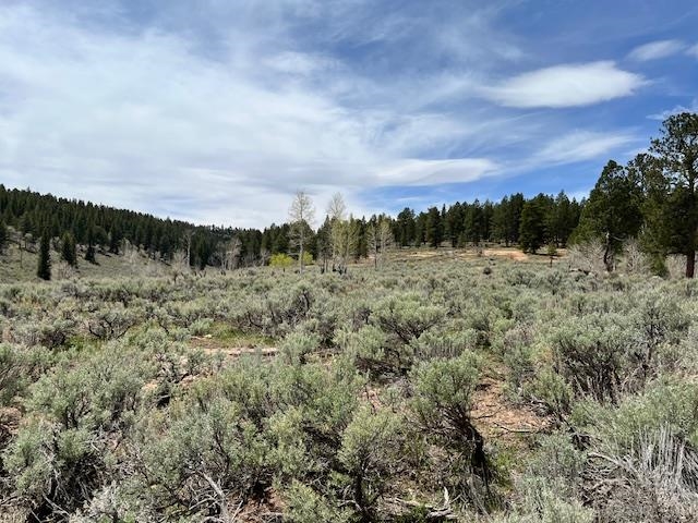 Tbd T S Road Whitewater, CO 81527 - Photo 5 of 11 Gallery Image 5