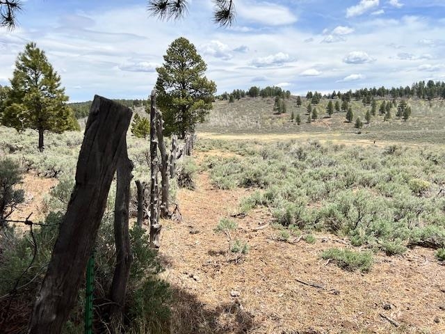 Tbd T S Road Whitewater, CO 81527 - Photo 6 of 11 Gallery Image 6
