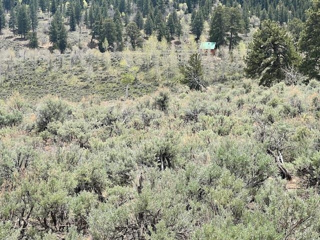 Tbd T S Road Whitewater, CO 81527 - Photo 8 of 11 Gallery Image 8