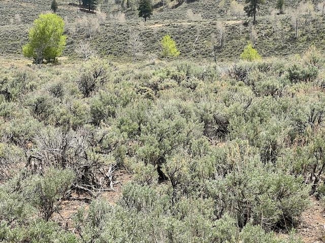 Tbd T S Road Whitewater, CO 81527 - Photo 9 of 11 Gallery Image 9