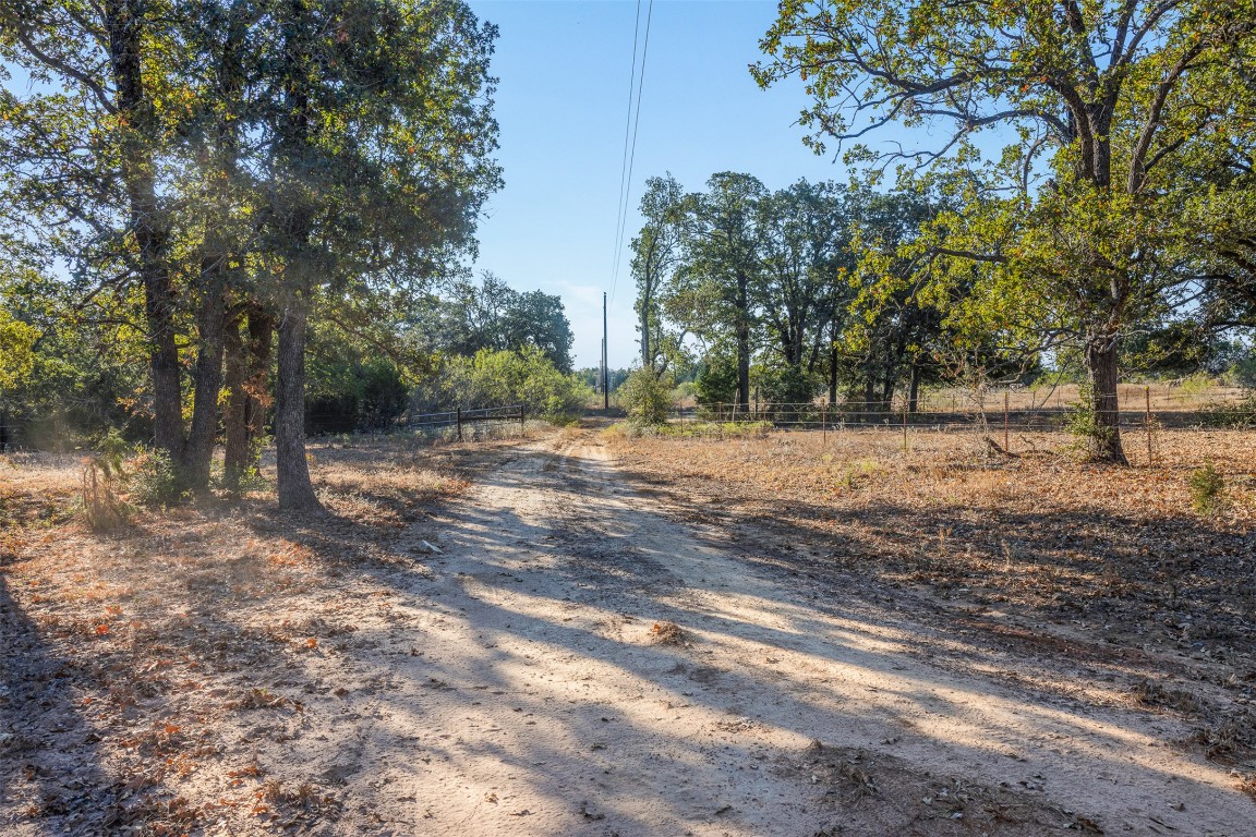 139 Farm To Market 696 Elgin, TX 78621 - Photo 8 of 27 View of dirt / gravel road
