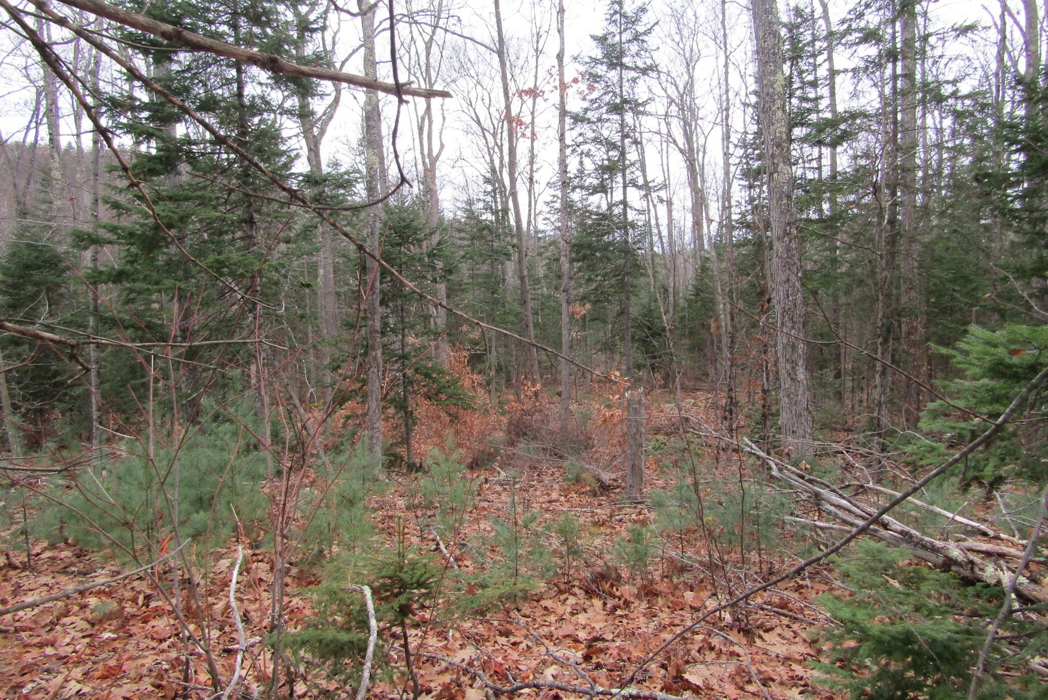 0 Benton Road North Haverhill, NH 03774 - Photo 5 of 6 Gallery Image 5