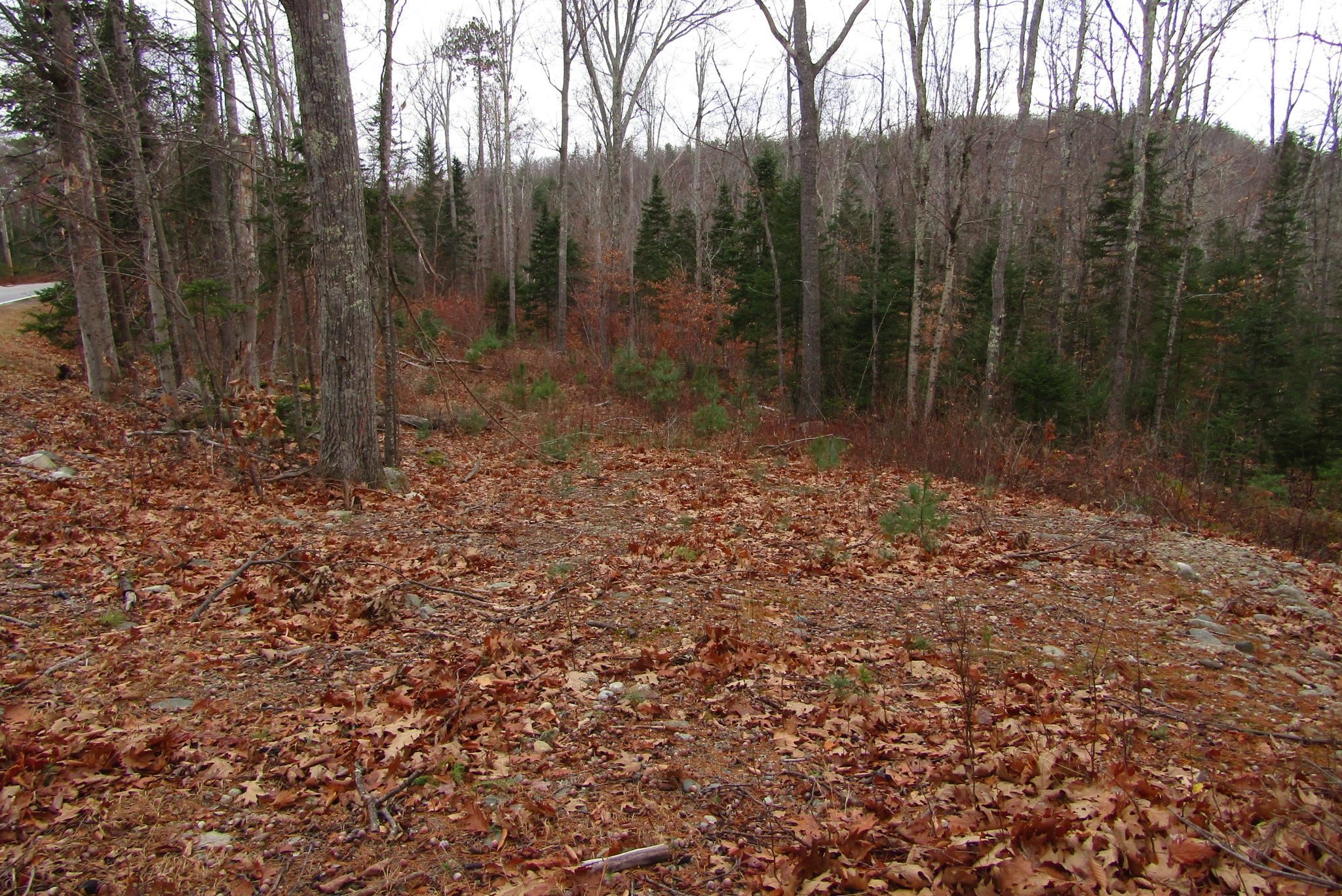 0 Benton Road North Haverhill, NH 03774 - Photo 6 of 6 Gallery Image 6