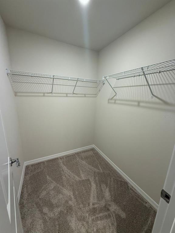 16292 Bright Leaf Road Winter Garden, FL 34787 - Photo 23 of 44