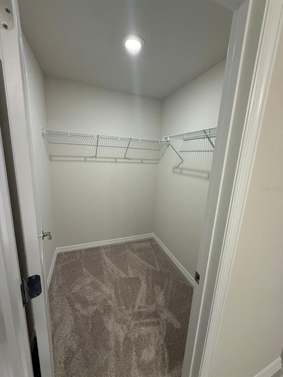 16292 Bright Leaf Road Winter Garden, FL 34787 - Photo 38 of 44