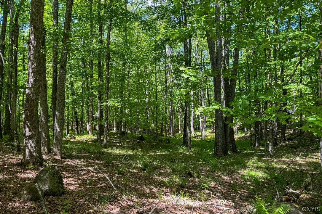 291 Joy Tract Road Webb, NY 13420 - Photo 20 of 24