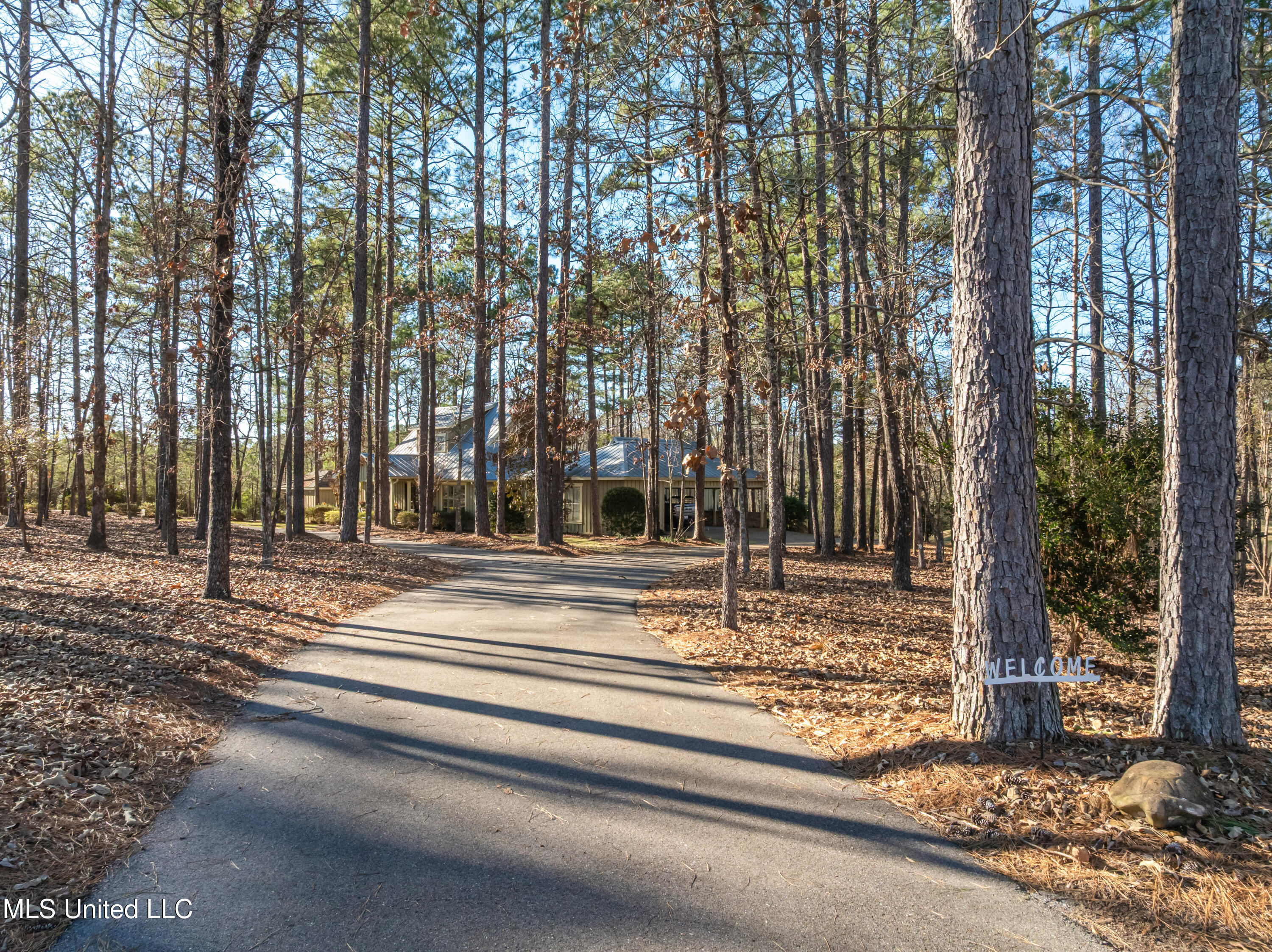 35 Boggy Hollow Road Purvis, MS 39475 - Photo 12 of 92 35_Boggy_Hollow_Rd-12