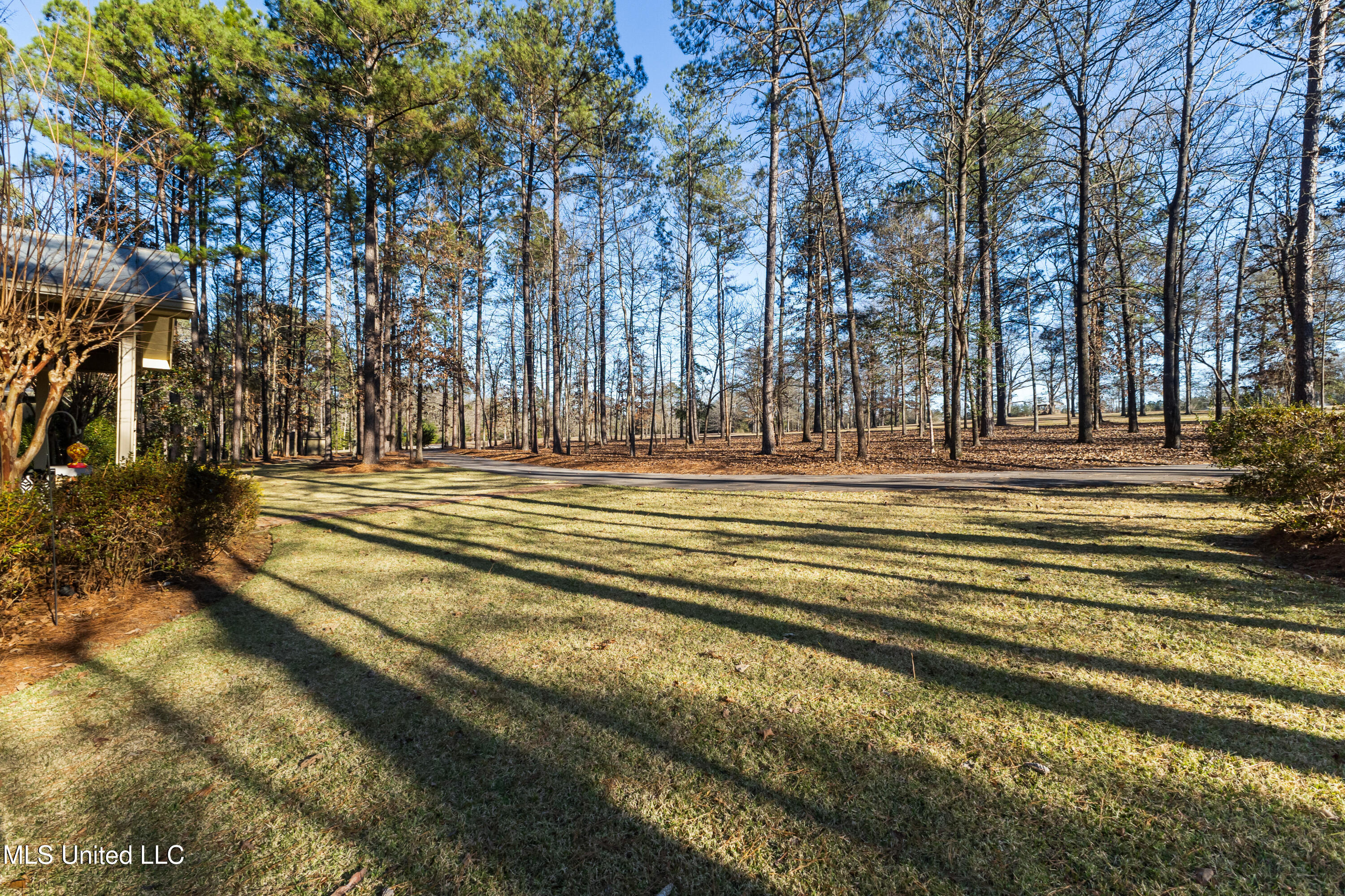 35 Boggy Hollow Road Purvis, MS 39475 - Photo 15 of 92 35_Boggy_Hollow_Rd-15