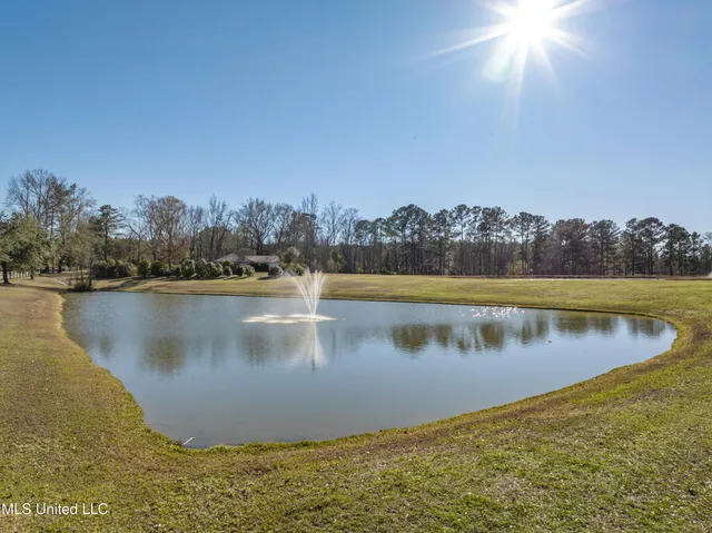 $979,900 | 35 Boggy Hollow Road, Purvis, MS 39475
