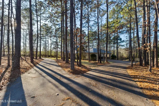 $979,900 | 35 Boggy Hollow Road, Purvis, MS 39475