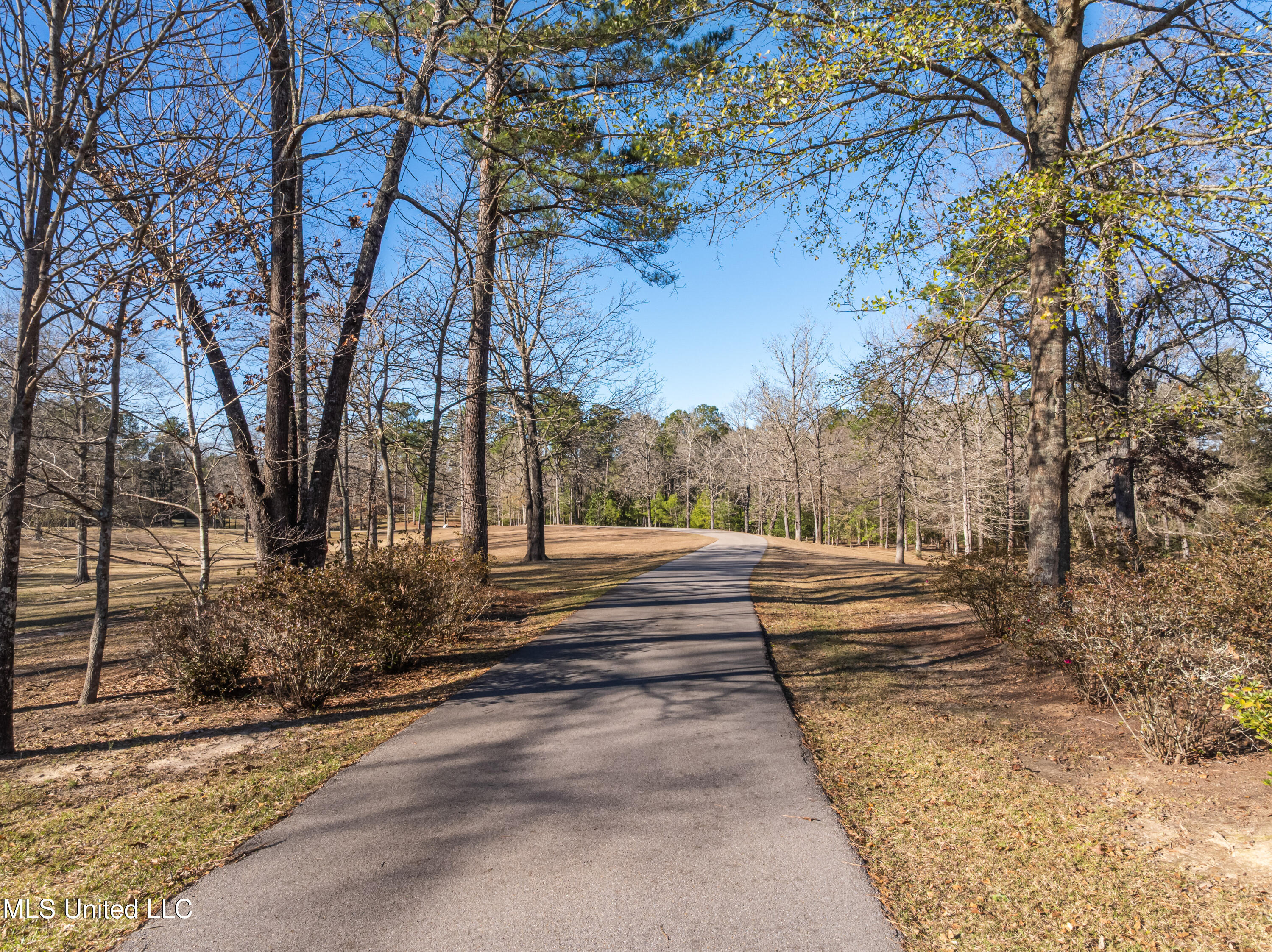 35 Boggy Hollow Road Purvis, MS 39475 - Photo 6 of 92 35_Boggy_Hollow_Rd-6