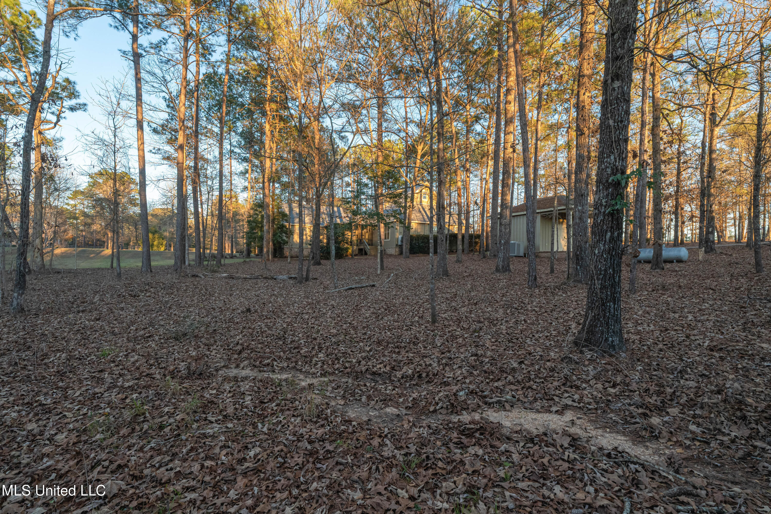 35 Boggy Hollow Road Purvis, MS 39475 - Photo 62 of 92 35_Boggy_Hollow_Rd-62