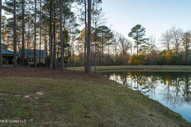 $979,900 | 35 Boggy Hollow Road, Purvis, MS 39475