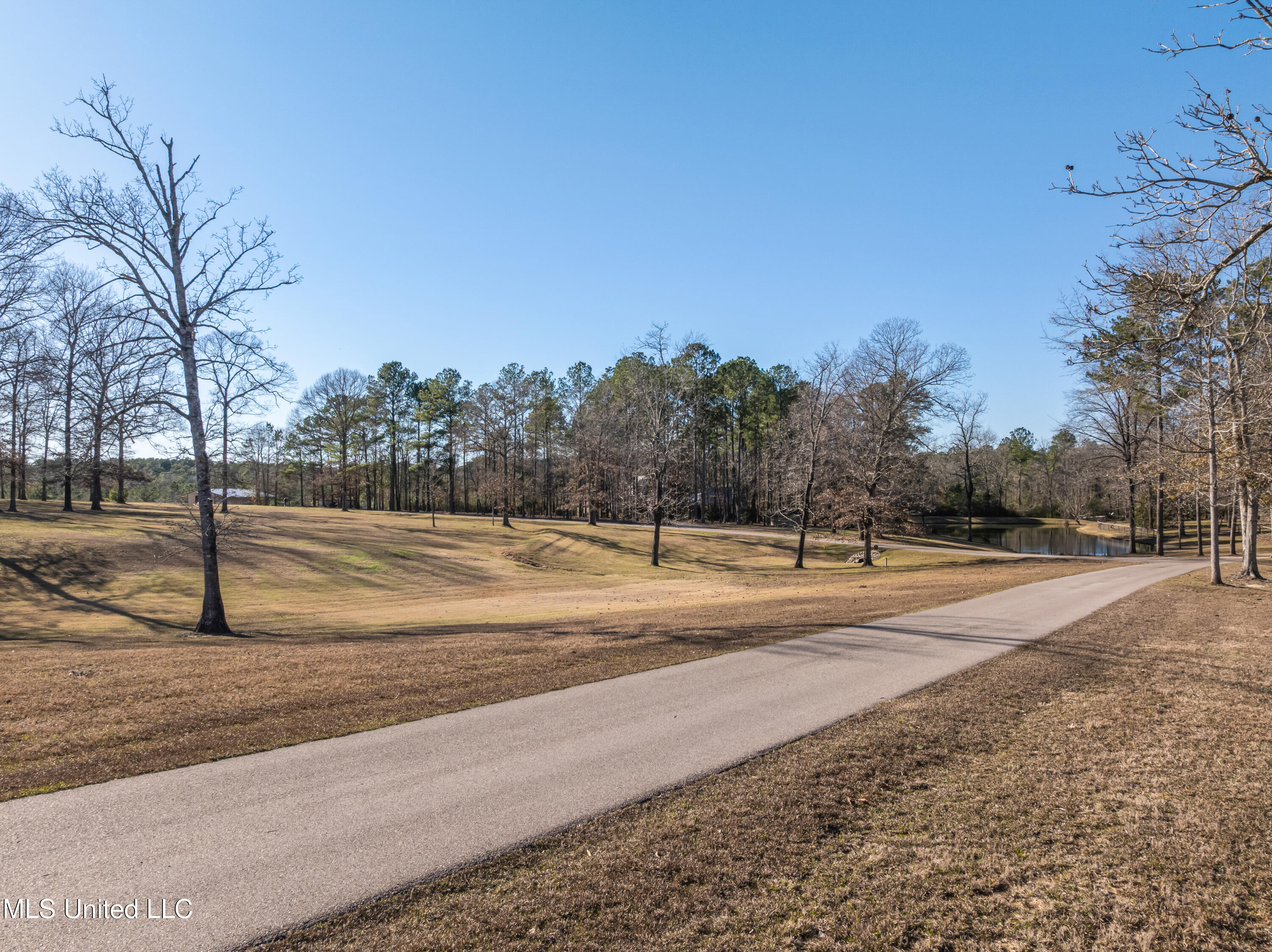 35 Boggy Hollow Road Purvis, MS 39475 - Photo 7 of 92 35_Boggy_Hollow_Rd-7