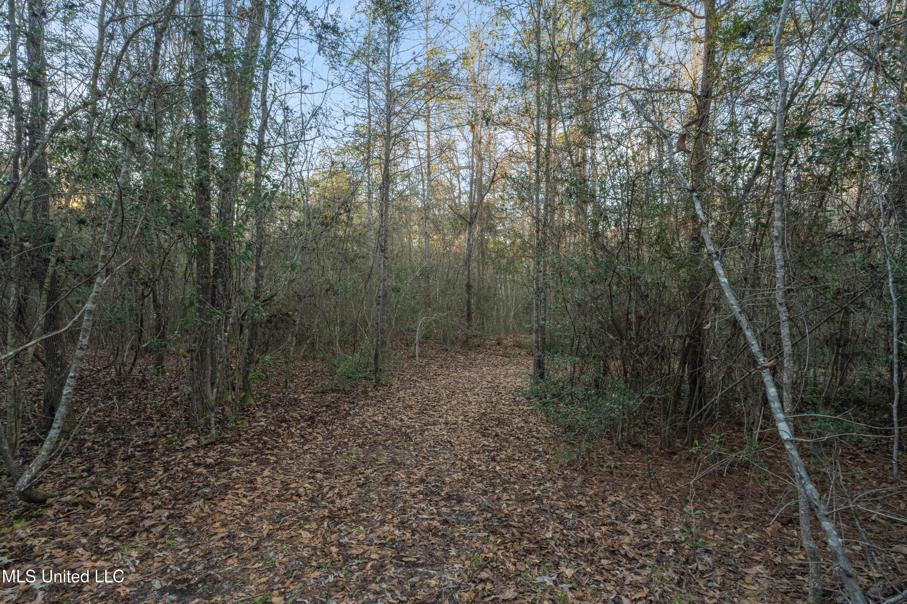 35 Boggy Hollow Road Purvis, MS 39475 - Photo 73 of 92 35_Boggy_Hollow_Rd-73