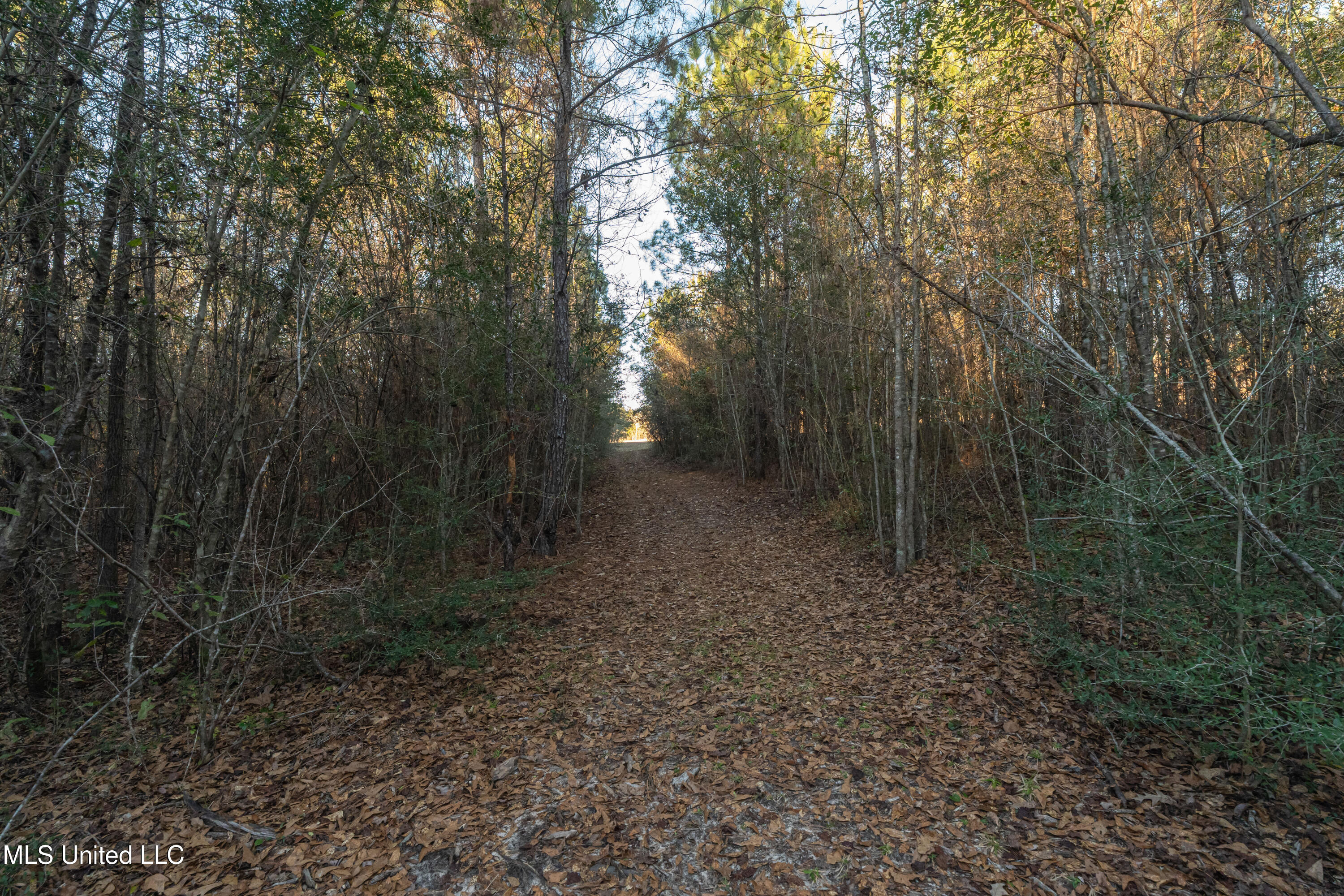 35 Boggy Hollow Road Purvis, MS 39475 - Photo 74 of 92 35_Boggy_Hollow_Rd-74