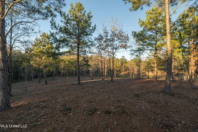 $979,900 | 35 Boggy Hollow Road, Purvis, MS 39475