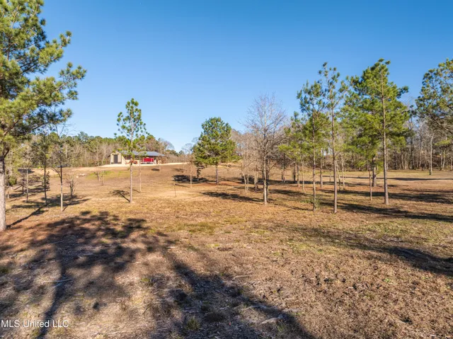 $979,900 | 35 Boggy Hollow Road, Purvis, MS 39475