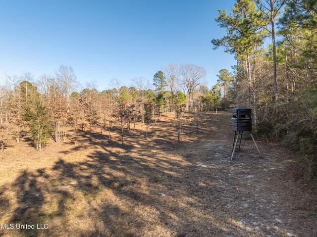 $979,900 | 35 Boggy Hollow Road, Purvis, MS 39475