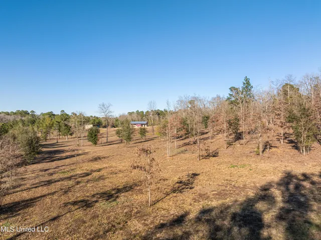 $979,900 | 35 Boggy Hollow Road, Purvis, MS 39475