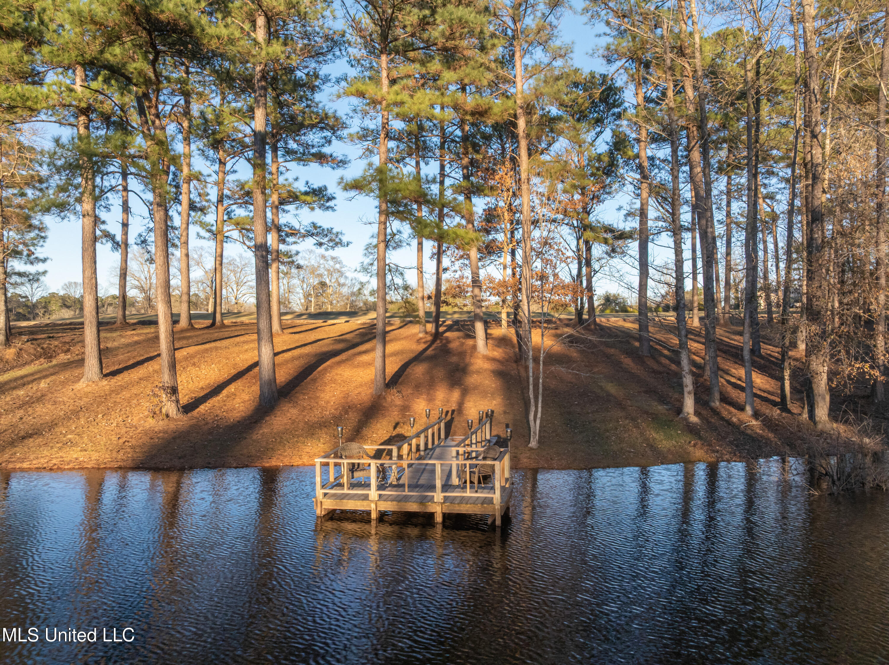 35 Boggy Hollow Road Purvis, MS 39475 - Photo 80 of 92 35_Boggy_Hollow_Rd-80