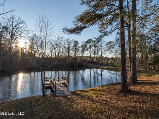$979,900 | 35 Boggy Hollow Road, Purvis, MS 39475