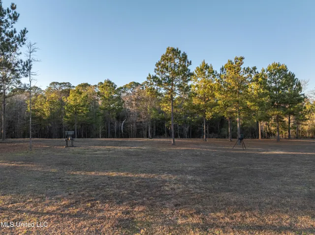 $979,900 | 35 Boggy Hollow Road, Purvis, MS 39475