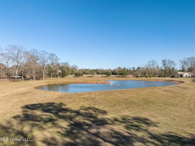 $979,900 | 35 Boggy Hollow Road, Purvis, MS 39475