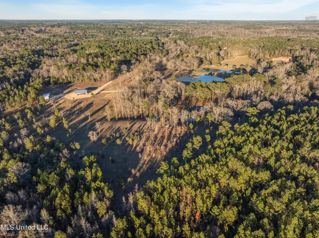$979,900 | 35 Boggy Hollow Road, Purvis, MS 39475