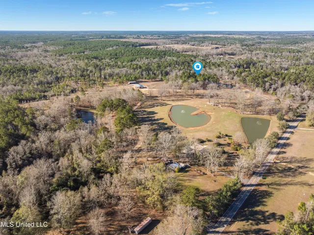 $979,900 | 35 Boggy Hollow Road, Purvis, MS 39475