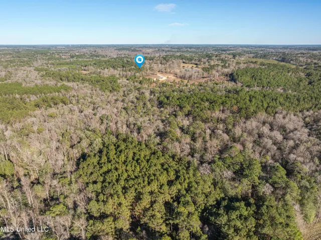 $979,900 | 35 Boggy Hollow Road, Purvis, MS 39475